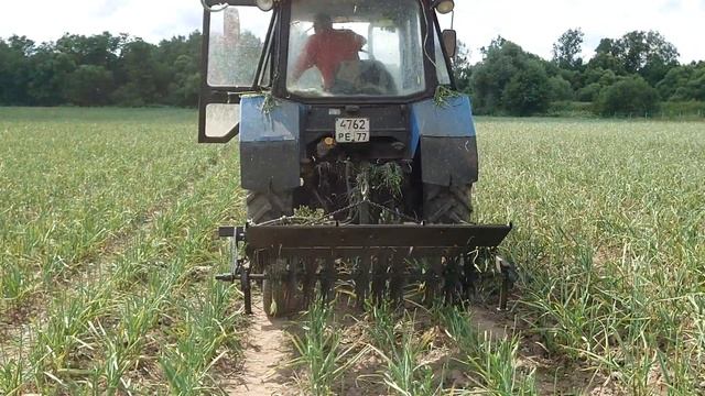 Срез стрелки чесночной с помощью навесного стрелкореза и трактора Белорус 82.1. 13 июля 2022 г. смотреть онлайн