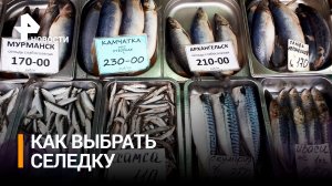 Россиянам рассказали, как правильно выбирать селедку для новогоднего стола / РЕН Новости