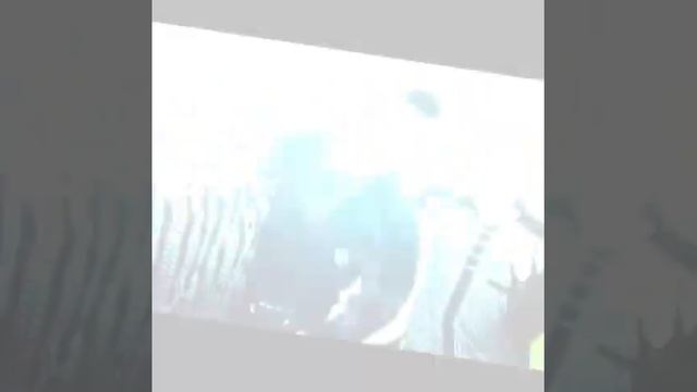 ?? Домашний фотоальбом ?✌ 2020г. ?Арзамас? смотреть онлайн