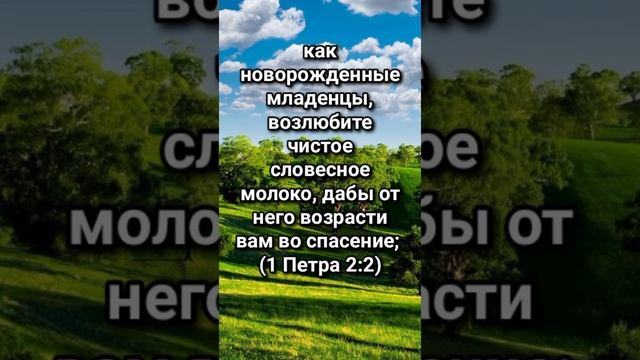 Духовное молоко. смотреть онлайн