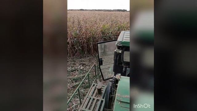 уборка кукуруза #2021 смотреть онлайн