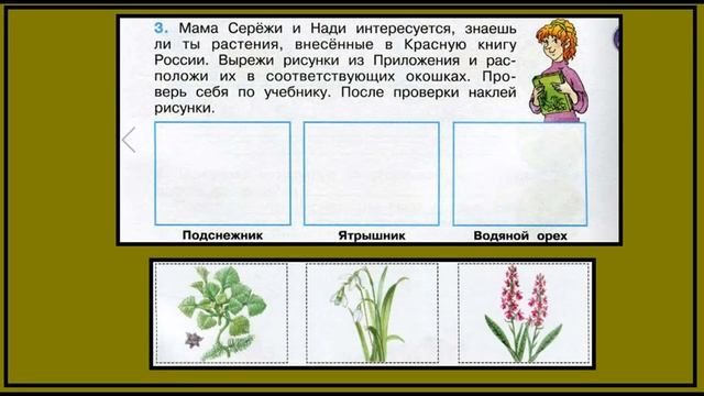 Охрана растений 3 задание.Окружающий мир 3 класс рабочая тетрадь. Картинки. смотреть онлайн