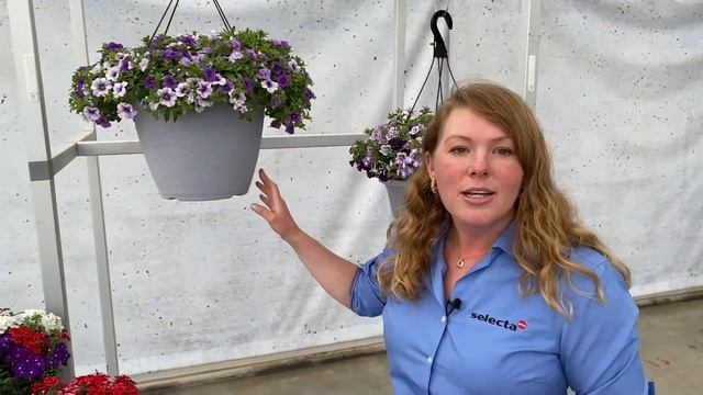 NEW Trixi Combos 2022 смотреть онлайн