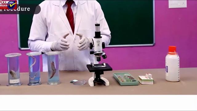 Class 12 Biology Experiment No. 10 Study of Xerophytic Plants and Desert Animals