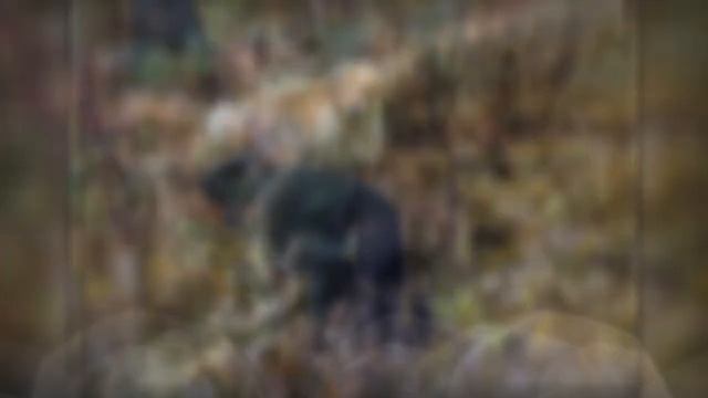 Фото зарисовки плато Путорана смотреть онлайн