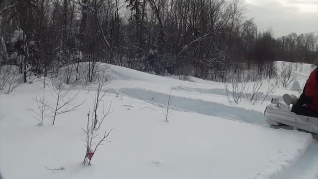 Skandic SWT vs VK540 reversing competition. смотреть онлайн