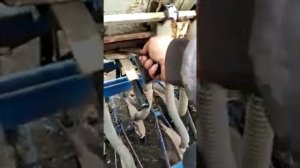 Сев  ярового ячменя .01.03.20.сорт Вакула