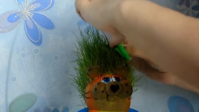 Экоживчик! Играем в парикмахера с Экоживчиком смотреть онлайн