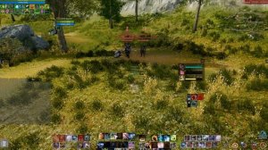ArcheAge 7.0 Фарм элиток в сокрытой долине на НЕ сильном хиле. Гайд