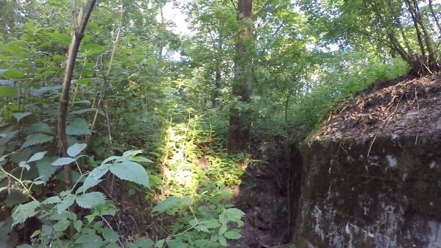 Беларусь. Барановичи. Арабовщина. Польская боевая группа «Крепость» смотреть онлайн