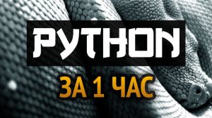 КАК ОСВОИТЬ Python ЗА 1 ЧАС? МЫ ПОКАЖЕМ КАК ЭТО ДЕЛАЕТСЯ!