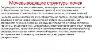 Урология. Лекция 1. Анатомия мочевыделительной системы. Анатомия почек и мочеточников