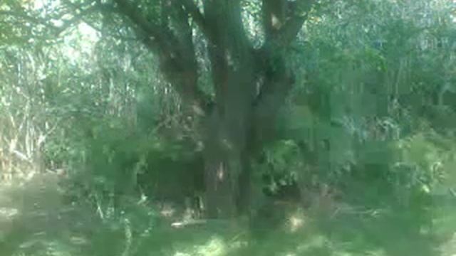 Маскхалат своими руками,практическое применение.