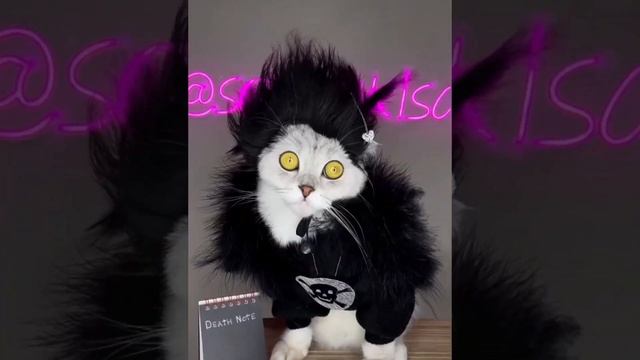 Прости меня, что я теперь другая. смотреть онлайн