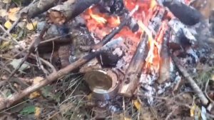 НА КАРАКАТЕ НА БОЛОТО. Лесные находки. ОХОТА НА РЯБЧИКА.