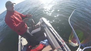 Правильное вываживание рыбы и последующие действия. ЛИКБЕЗ # 1