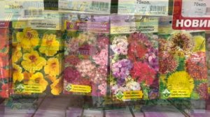 НАСЕННЕ Магазин семян в Минске пр. Дзержинского, ассортимент. Где купить саженцы роз, 3 марта 2023