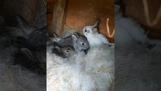 Утренняя зарядка!