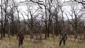 Swiss Alpenflage vs US Woodland Camouflage Test