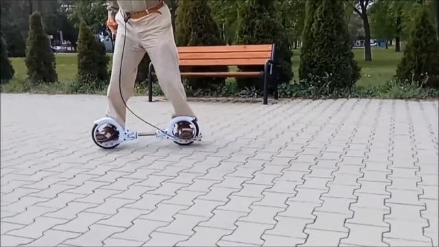 Rudolf - Freerider Skatecycle 10 - с батутной пружиной (RU)