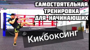 Кикбоксинг для начинающих. Кикбоксинг тренировки самостоятельно #1