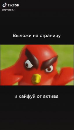 ОЧЕНЬ ЗЛЫЕ ПТИЧКИ #iktok #shorts