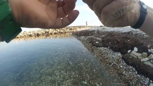 рыбалка Черное море Анапа первая часть