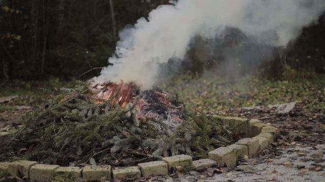 Divine Relaxing music! A very beautiful bonfire!Fire. For meditation. To relieve stress. For sleep.