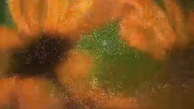 Deva Premal   (Маха Мантра — Великая мантра, очищающая ум, душу и тело)
