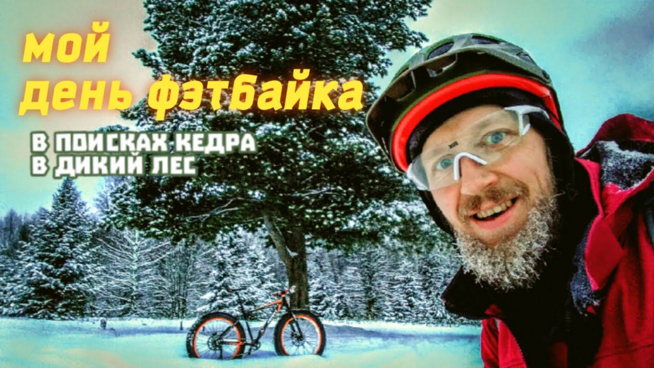 Мой день фэтбайка 2023 покатушка в дикий лес, в поисках кедра