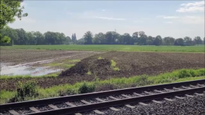 По полю зайцы бегом, а может кролики…