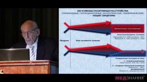 2. Шизофрения с преобладанием негативных расстройств. А. Б. Смулевич