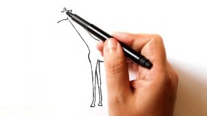 Как нарисовать Жирафа