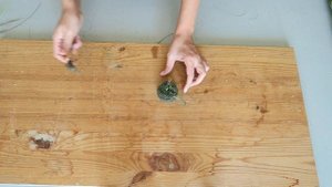 Плетем косы из рогоза / как чесать рогоз / флористика для начинающих