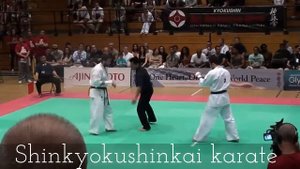 Ushiro Mawashi Geri (Уширо маваши гери)