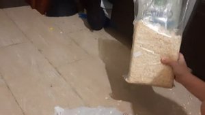 зачем просеивать опилки для хомяков