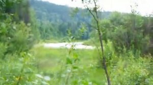 Дорога на Вижай Когда то в 60е годы тут был пионерлагерь