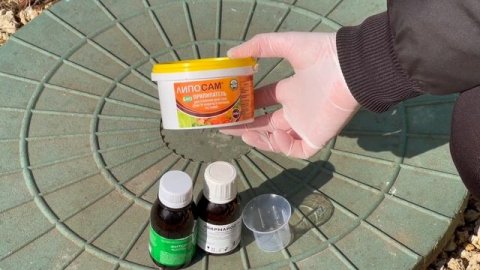 Весенняя обработка сада | Биофунгициды