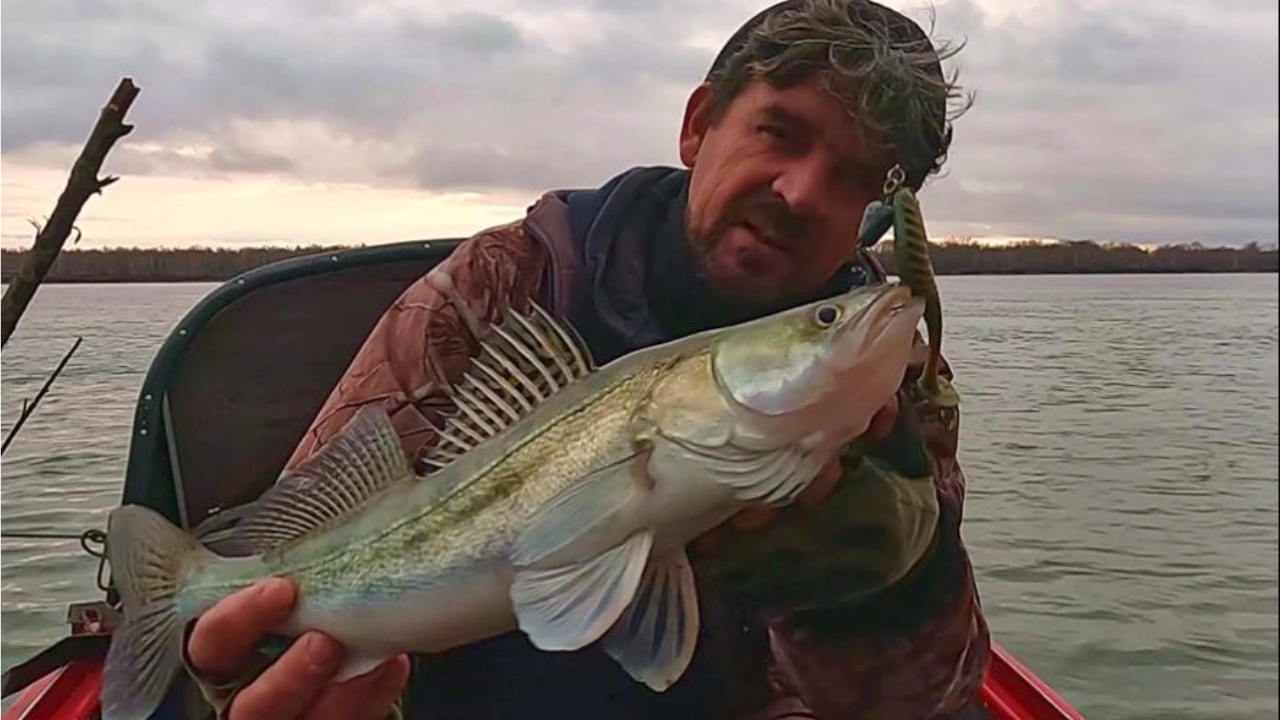 КОМБИНИРОВАННАЯ РЫБАЛКА  на Оби 15 октября 2023г. Фидер, спиннинг.