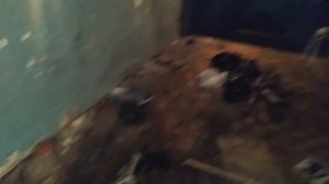 Детейлинг с нуля в обычном гараже на 18 квадратных метров