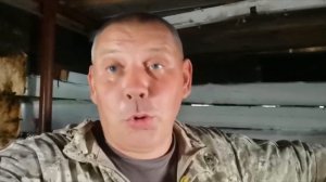 Свиньи породы ДЮРОК: описание. "Мое Подворье"