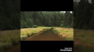 Монашка