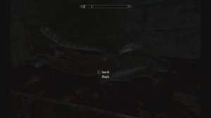 Skyrim - Two tail glitches