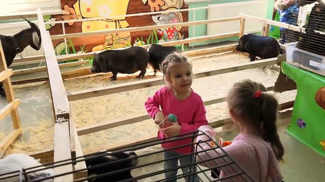 влог, ЗООПАРК, животные, выставка кроликов, Eseniya in the zoo, exhibition of rabbits смотреть онлайн