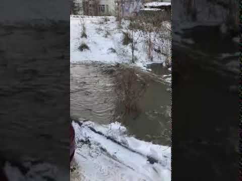 Грязная вода в садик