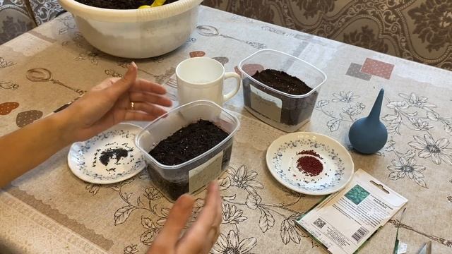 БАЗИЛИК С КИПЯТКОМ?! КАКИЕ ВСХОДЫ?! СЕМЕНА ПАРТНЁР смотреть онлайн