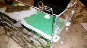 Заселение. Новый дом встречает жильцов.