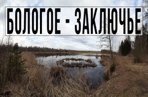 Бологое - Заключье