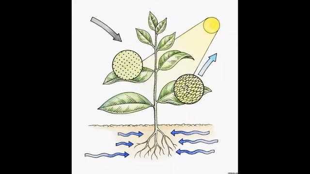 Познавательный час "Планета земля" смотреть онлайн