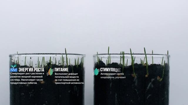 Что такое Лигногумат ВМ-NPK и как он работает? смотреть онлайн